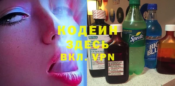 прущие грибы Сосновоборск