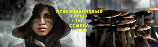 марихуана Белокуриха