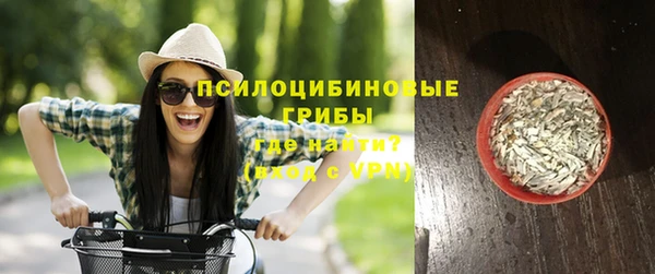 спайс Беломорск