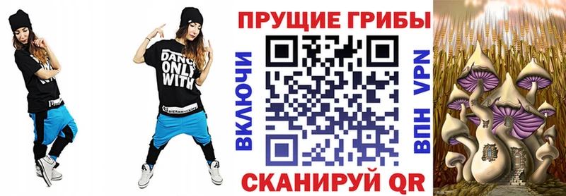 hydra зеркало  Кодинск  Галлюциногенные грибы мухоморы 