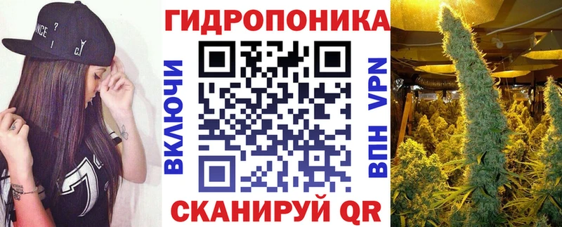 наркотики  omg сайт  Шишки марихуана индика  Кодинск 